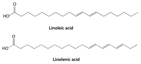 Linoleic and linolenic acid structures