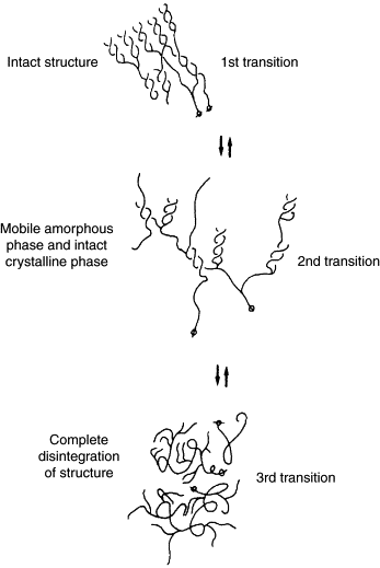 Starch gelatinization diagram