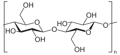 Molecular structure of cellulose