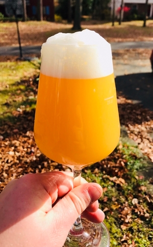 Sour beer in a glass